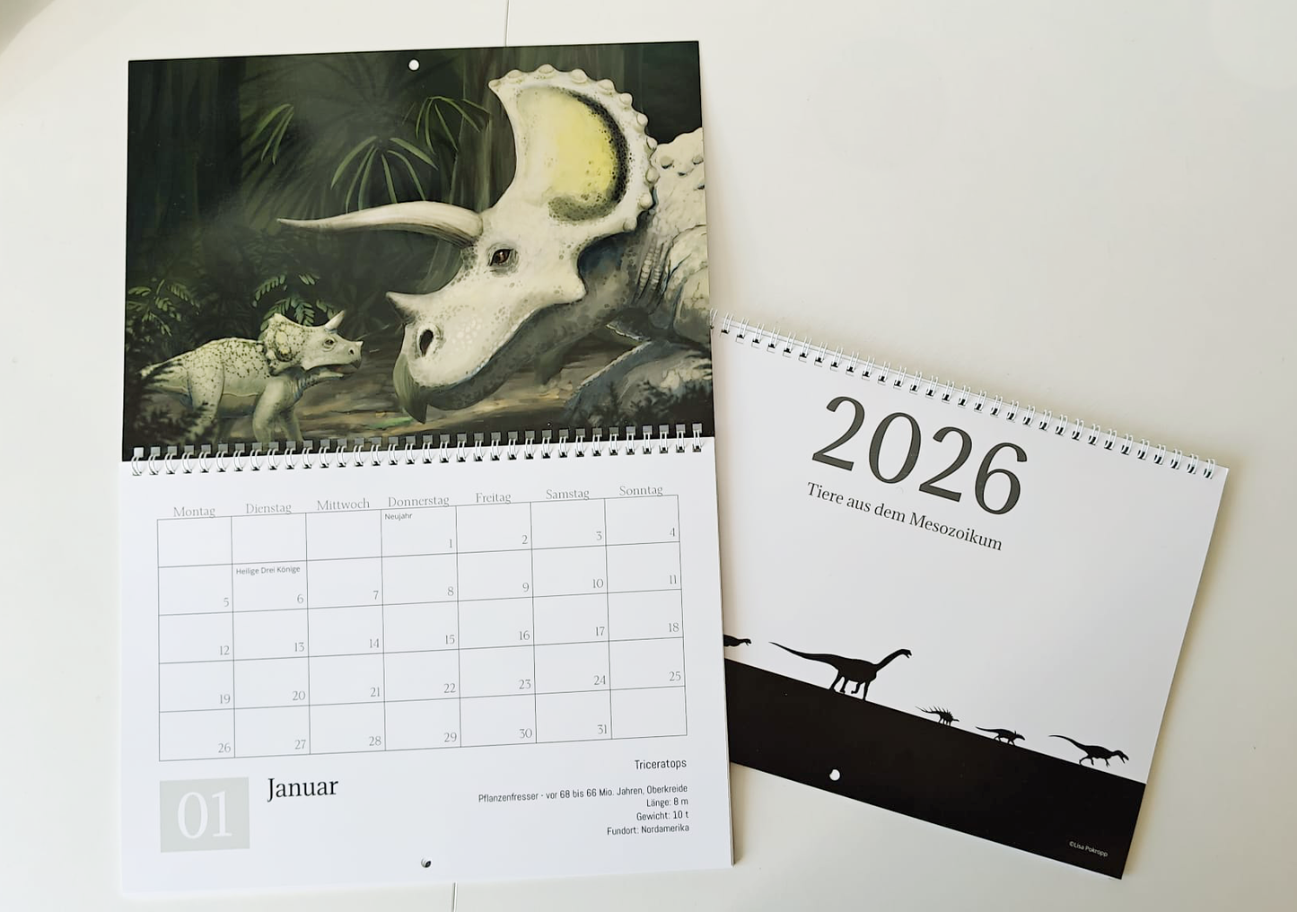 A4 Klappkalender "Tiere des Mesozoikums" 2026